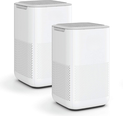 Air Purifier with H13 True HEPA Filter